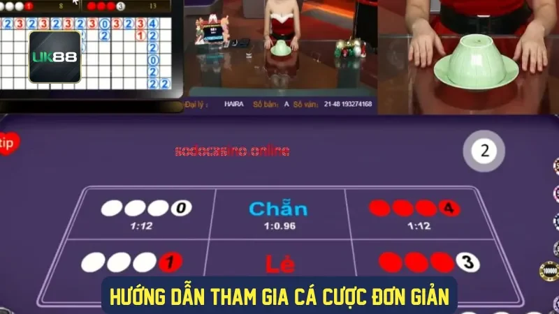 Hướng dẫn tham gia cá cược đơn giản